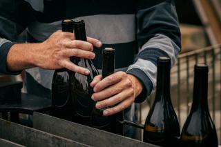 Vins naturels : sélection de vins vivants et sans sulfites ajoutes